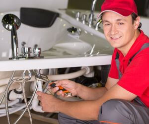 About Plumbers Pros Stockbridge, MI